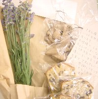 070617koga-choko.jpg