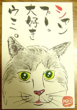 0707saitou-umi-neko-burogu.jpg