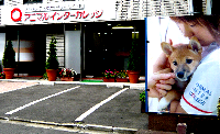 071015animaru-inta-.bmp