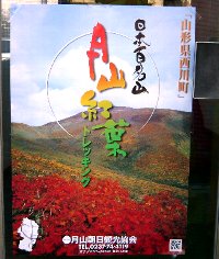 071015gassan-kouyou.jpg