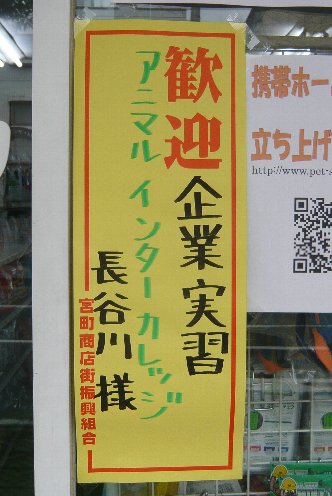 0803animari-inta-hasegawa.jpg