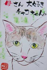 080629satou-chako-neko.jpg