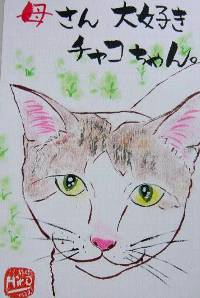 080629satou-chako-neko.jpg