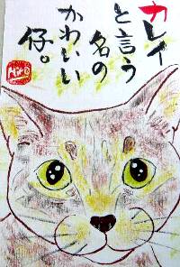 081130shouji-karei-neko.jpg