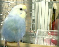 terori-inko-kenson.jpg
