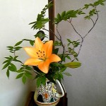 090528ikebana