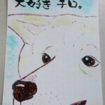 090815haga-tiro-akitainu