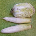 091209daikon