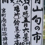 100503nisikawa-shun
