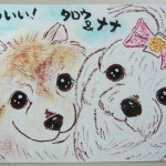110519isikawa-tatou-nana