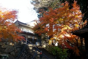 121203touishouguu-mojmiji