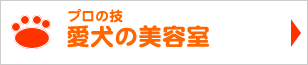 プロの技愛犬の美容室