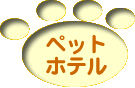 �y�b�g�z�e��