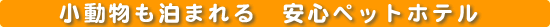 �����������܂����S�y�b�g�V���b�v