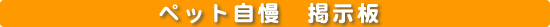 �y�b�g�����f����