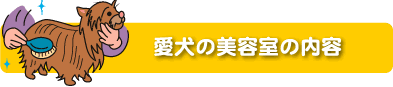 �����̔��e�����e