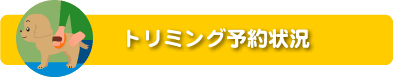 �g���~���O�\���