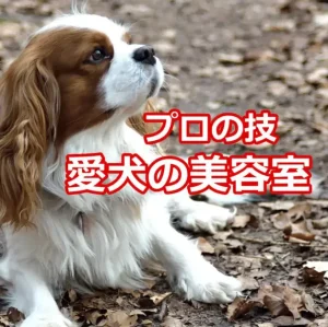 愛犬の美容室